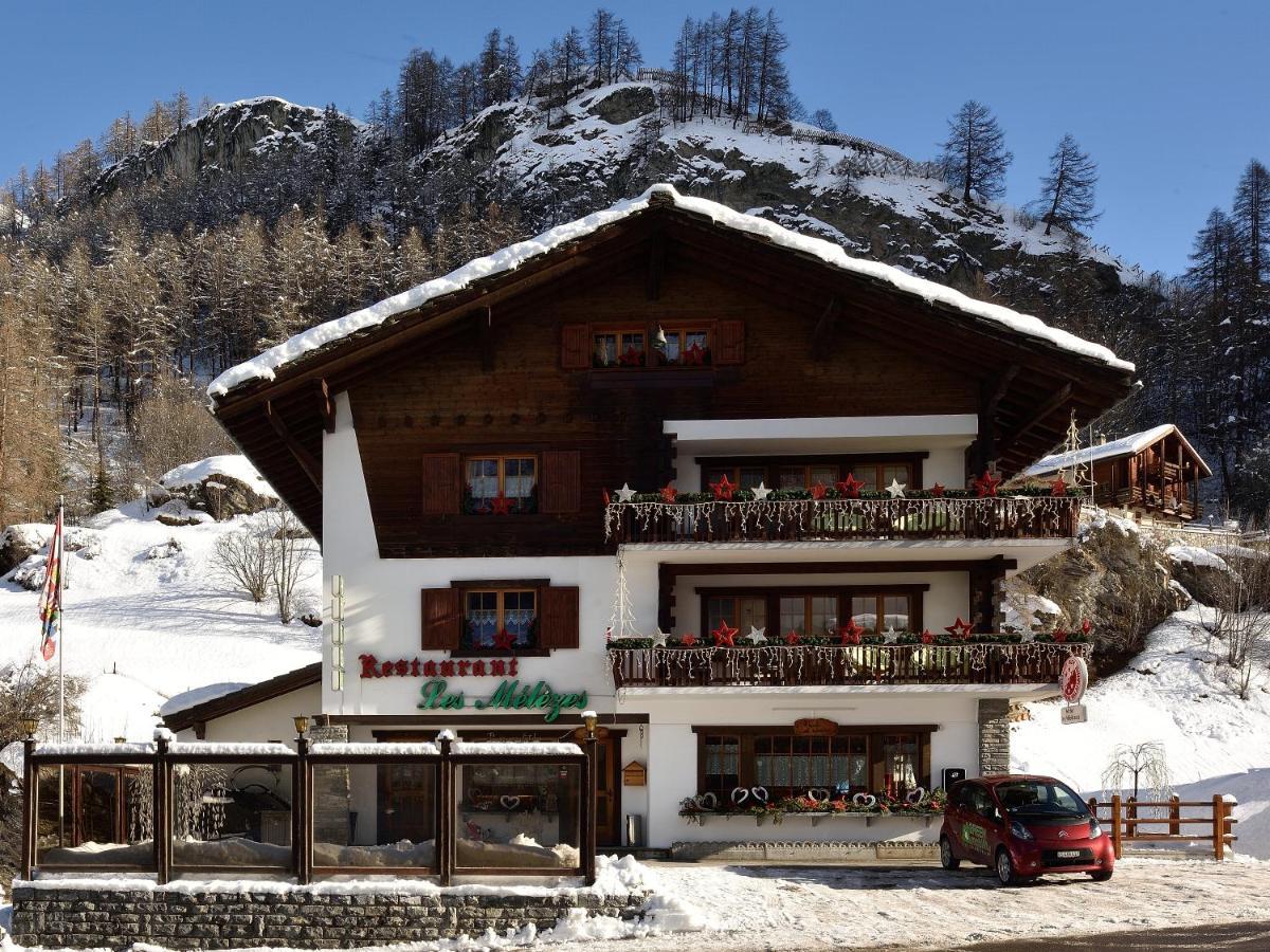Hotel Les Melezes Haudères 외부 사진