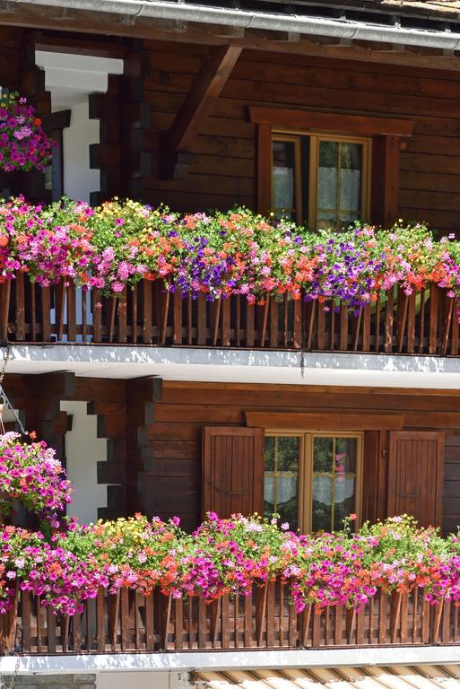 Hotel Les Melezes Haudères 외부 사진