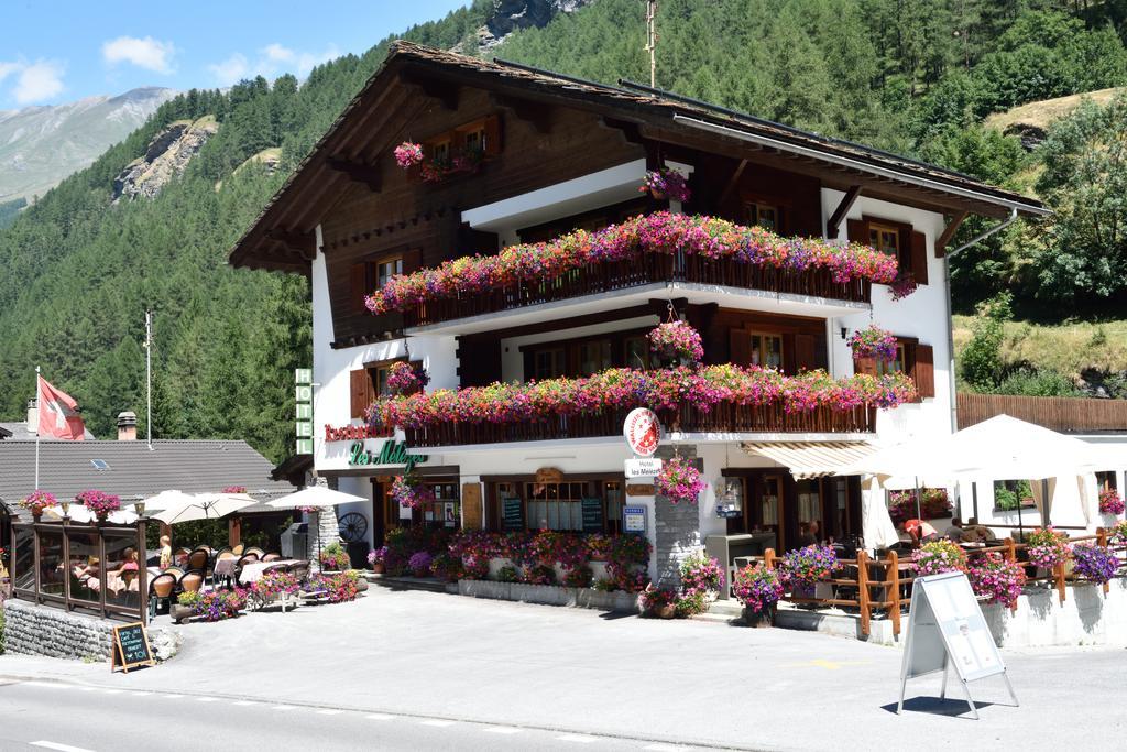 Hotel Les Melezes Haudères 외부 사진