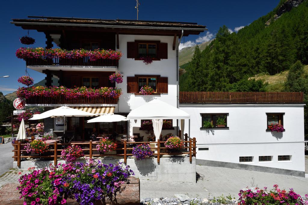 Hotel Les Melezes Haudères 외부 사진